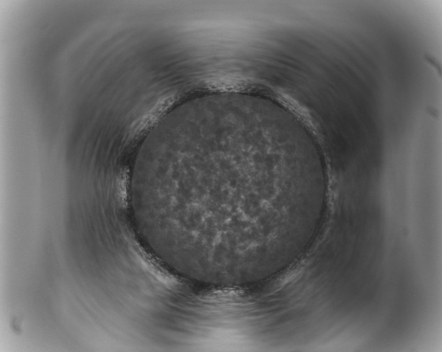 X0000102040065200807251424