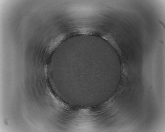 X0000102040066200807251424