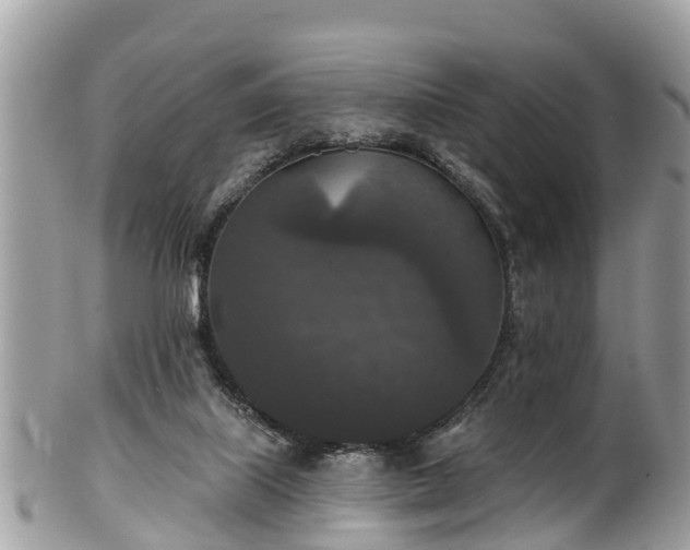 X0000102040067200807251424