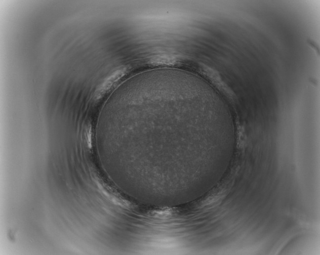 X0000102040068200807251424