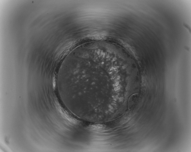 X0000102040069200807251424