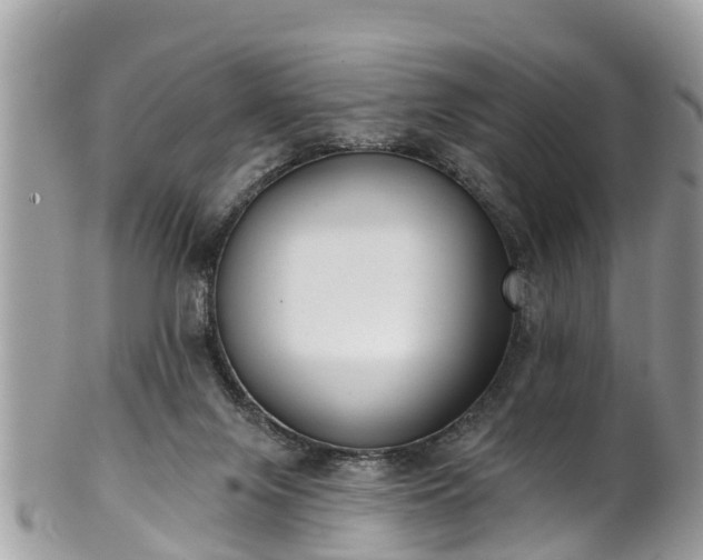 X0000102040071200807251424