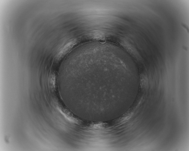 X0000102040072200807251424