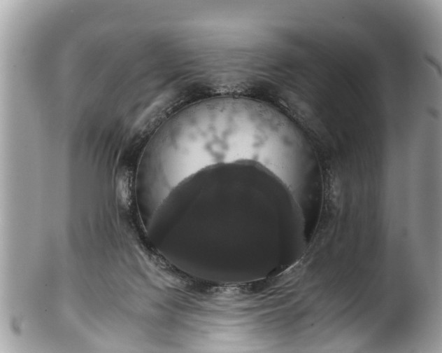 X0000102040074200807251424