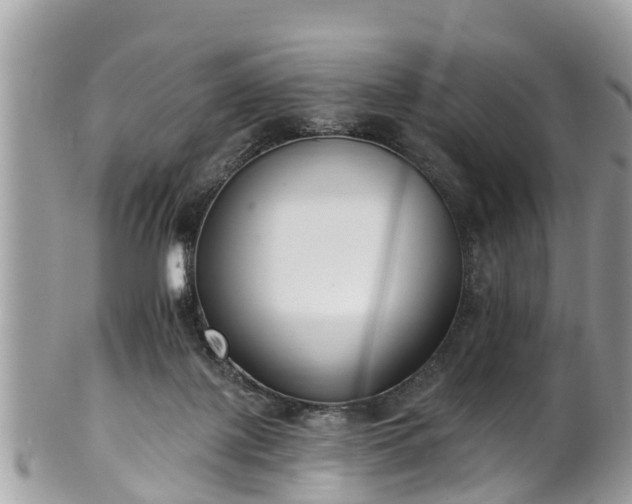 X0000102040075200807251424