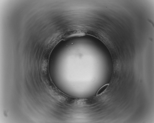 X0000102040078200807251424