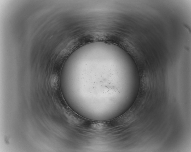 X0000102040079200807251424