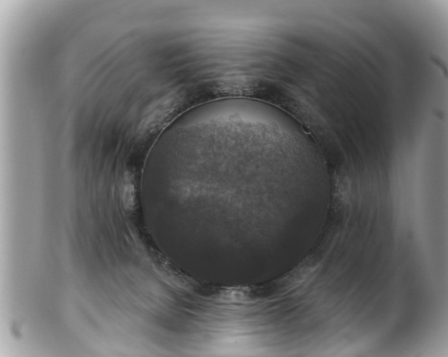 X0000102040080200807251424