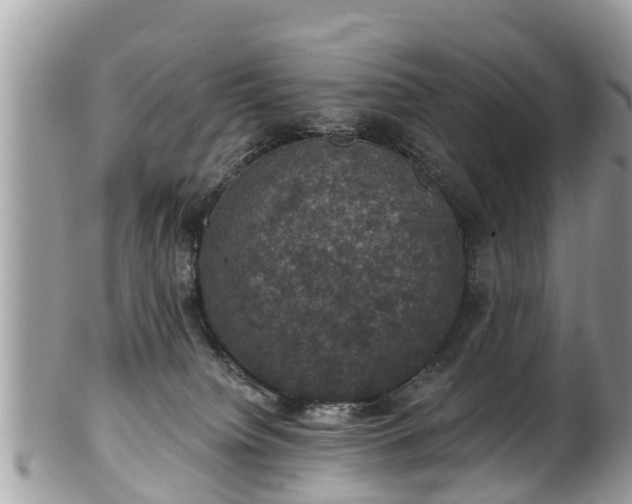 X0000102040084200807251424