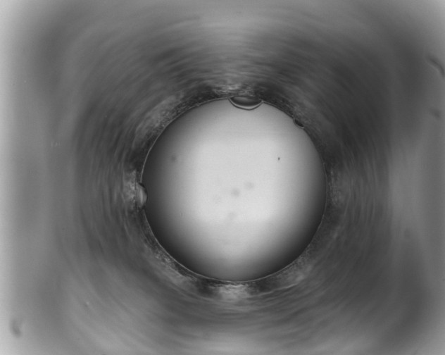 X0000102040085200807251424