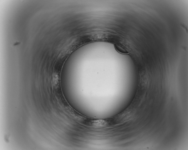 X0000102040087200807251424