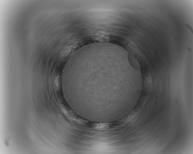 X0000102040088200807251424