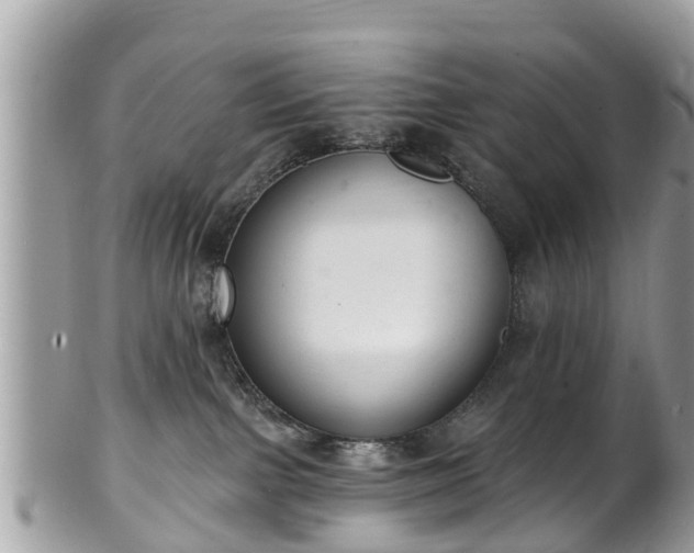 X0000102040091200807251424