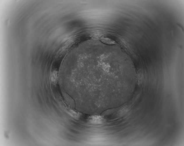 X0000102040093200807251424