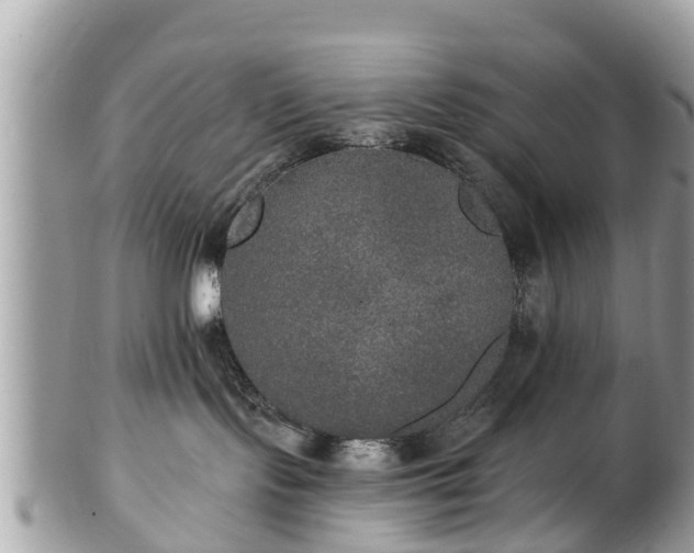 X0000102040095200807251424