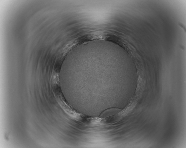 X0000102040096200807251424