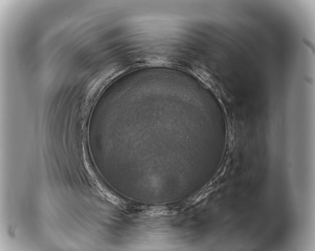 X0000102040097200807251423