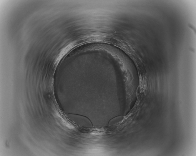 X0000102040099200807251423