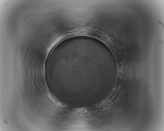 X0000102040100200807251423