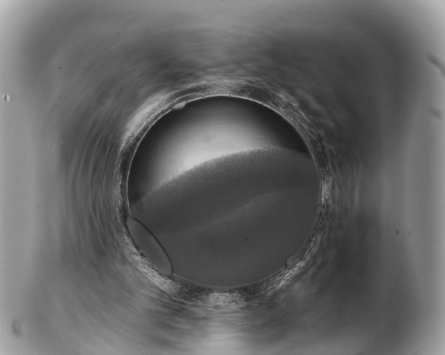 X0000102040101200807251423