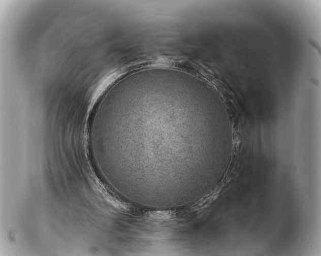 X0000102040102200807251423