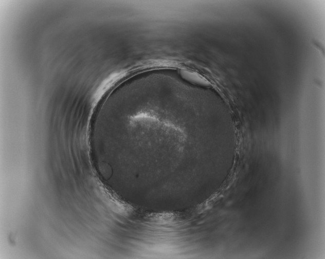 X0000102040104200807251423