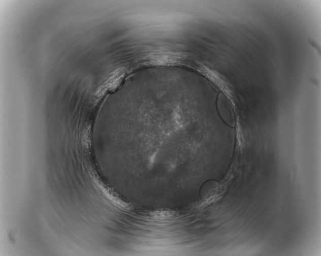 X0000102040105200807251423