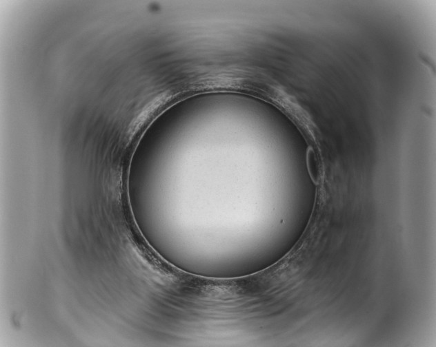 X0000102040107200807251423