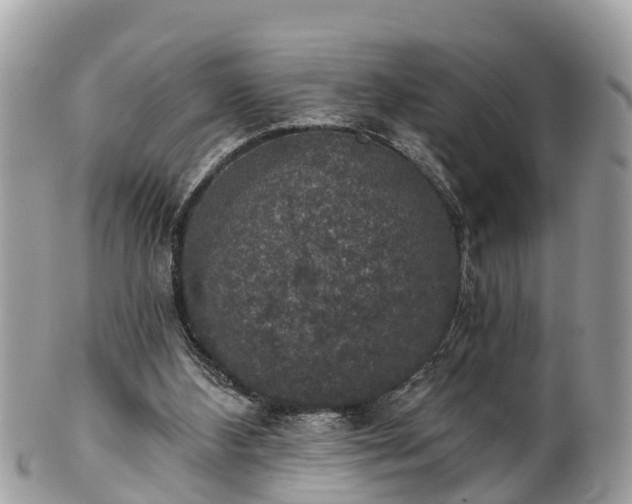 X0000102040108200807251423