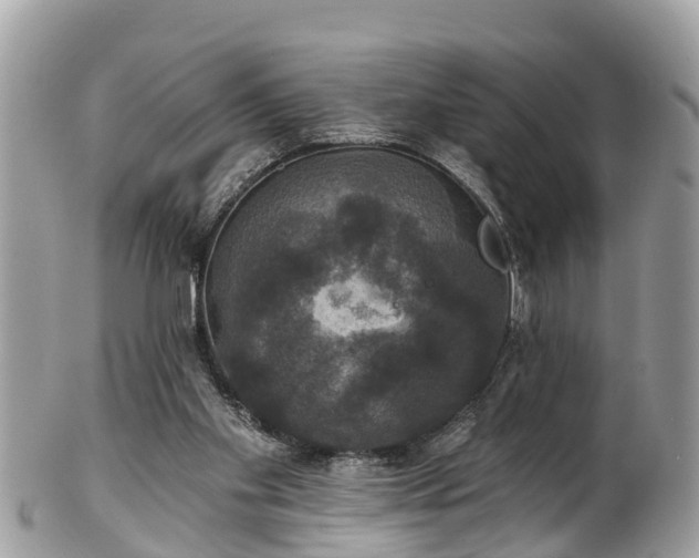 X0000102040109200807251423