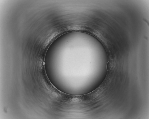 X0000102040111200807251423