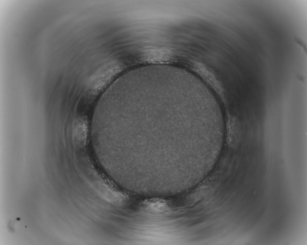 X0000102040113200807251423