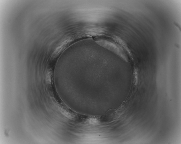 X0000102040114200807251423