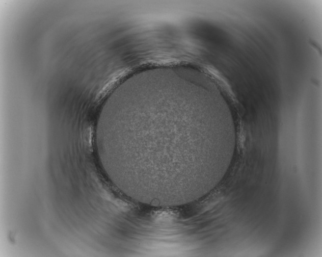 X0000102040115200807251423