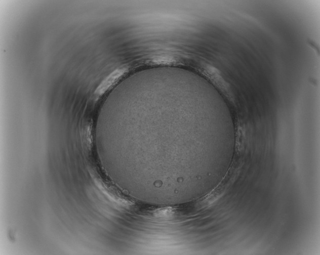 X0000102040116200807251423