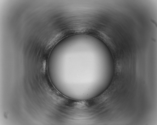 X0000102040118200807251423