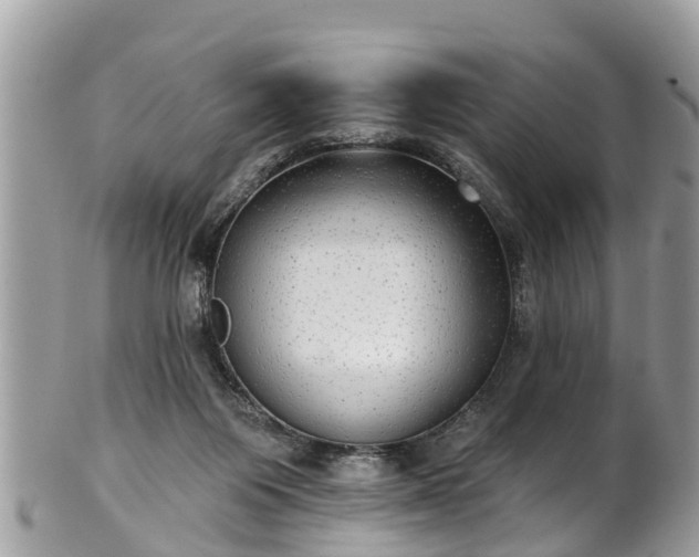 X0000102040119200807251423