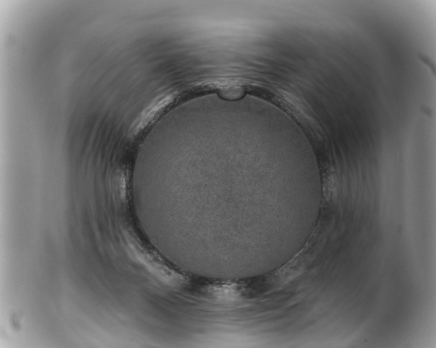 X0000102040120200807251423