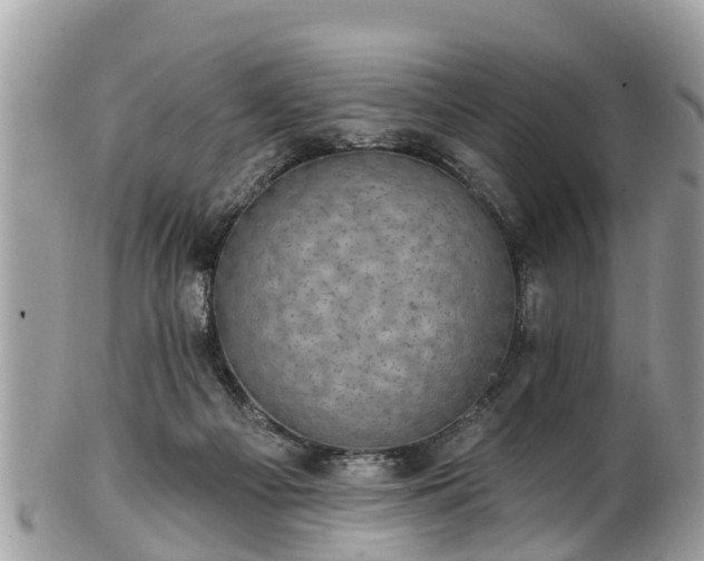 X0000102040121200807251423