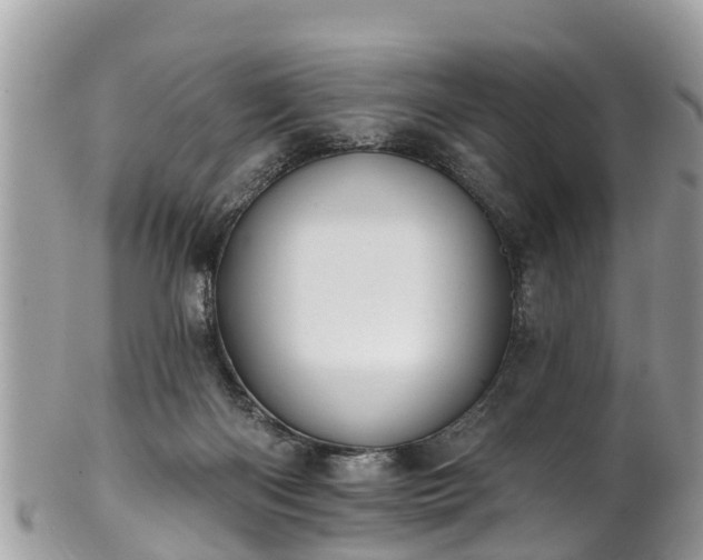 X0000102040122200807251423