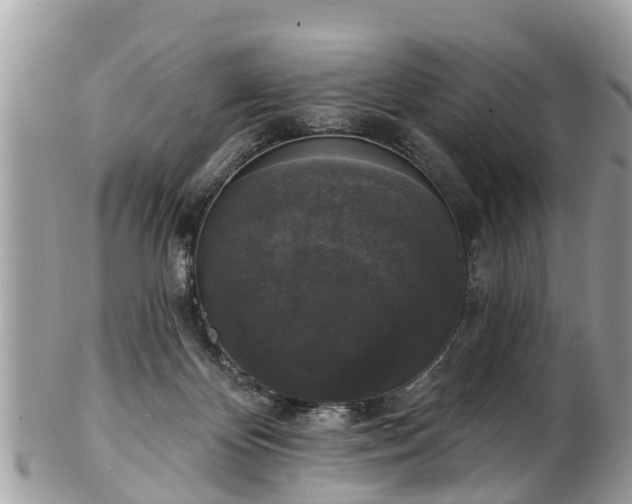 X0000102040124200807251423