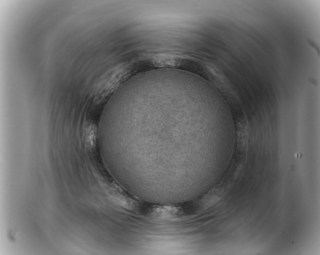 X0000102040125200807251423