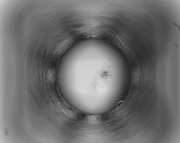 X0000102040126200807251423