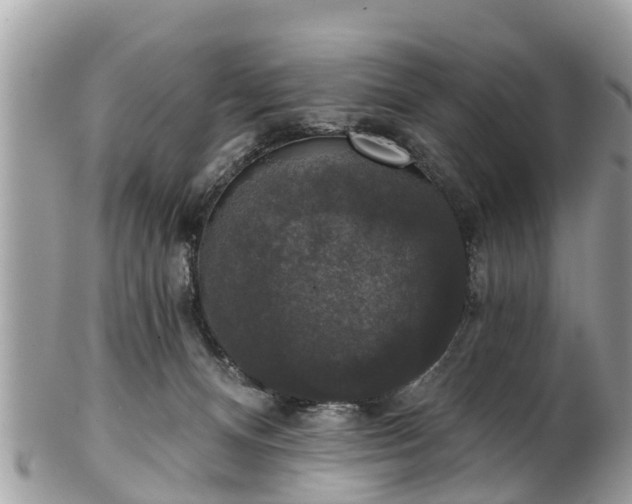 X0000102040128200807251423