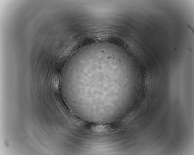 X0000102040129200807251423