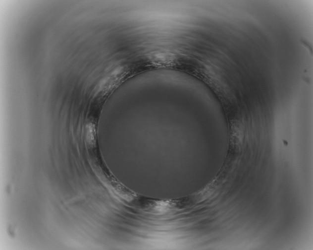 X0000102040130200807251423