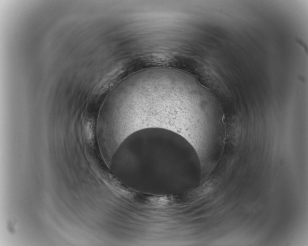 X0000102040131200807251423