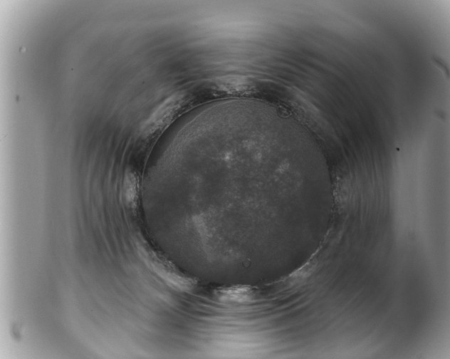 X0000102040132200807251423