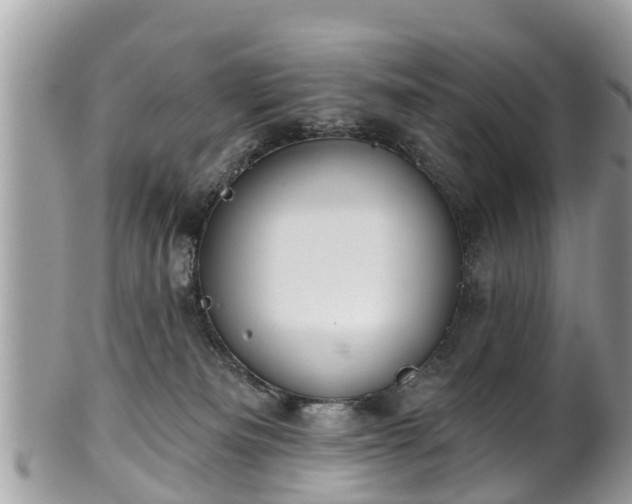 X0000102040133200807251423