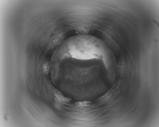 X0000102040134200807251423